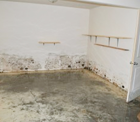 mold-issue
